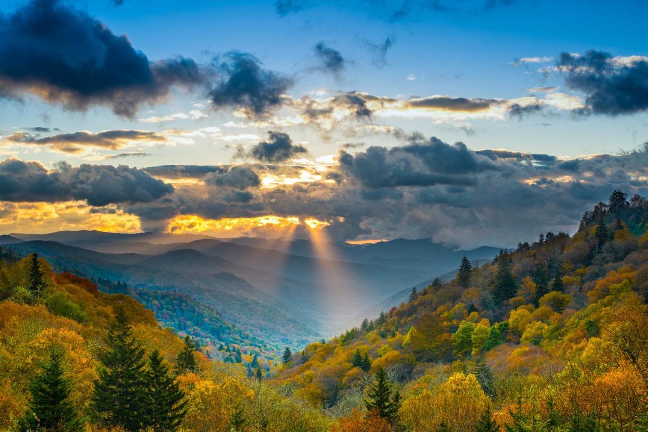 Bear Cove Falls Pigeon Forge Εξωτερικό φωτογραφία
