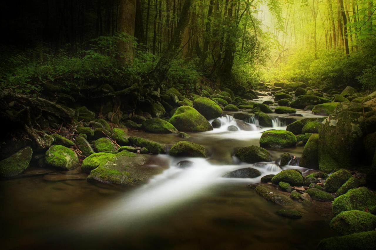 Bear Cove Falls Pigeon Forge Εξωτερικό φωτογραφία