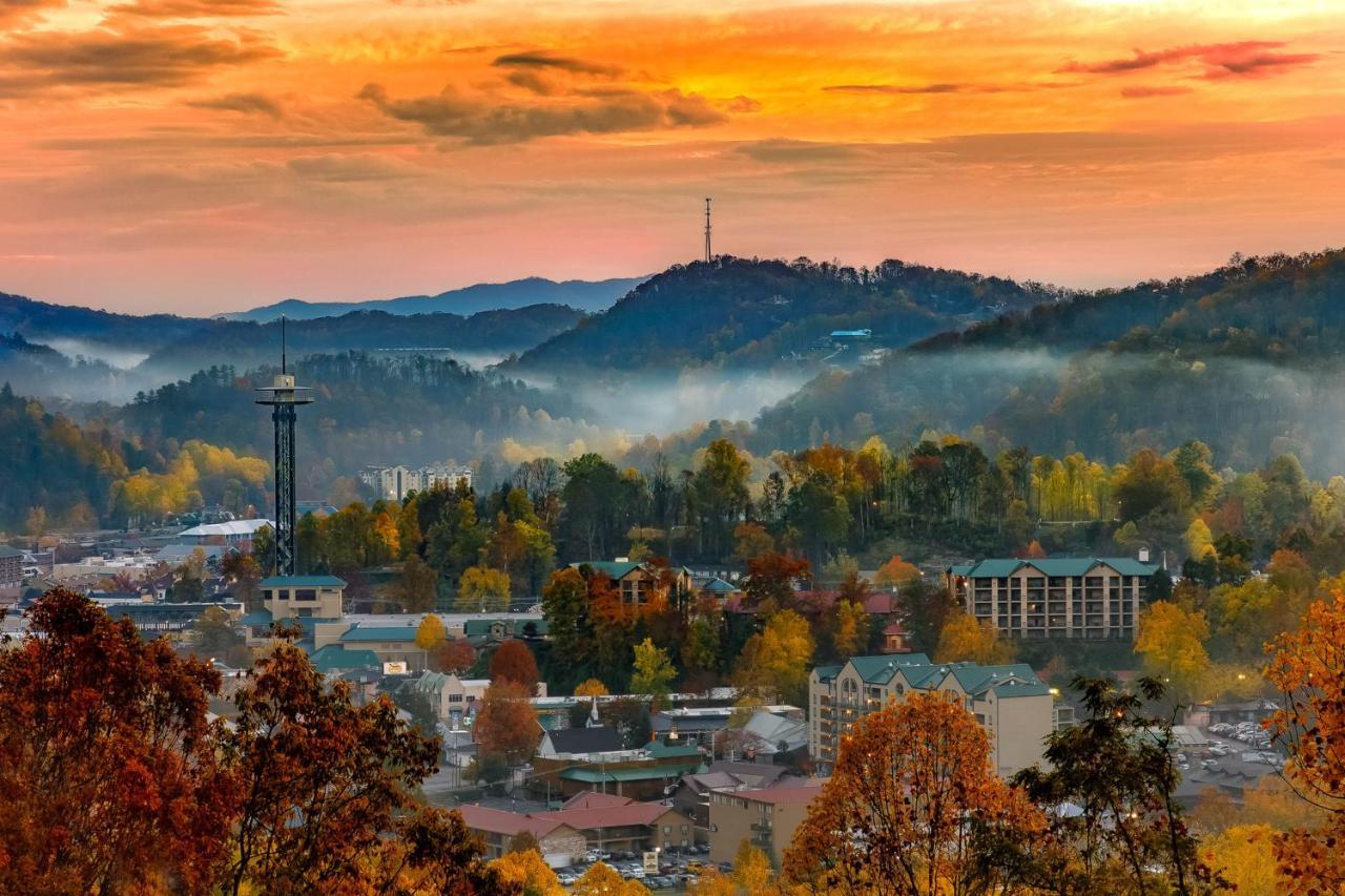 Bear Cove Falls Pigeon Forge Εξωτερικό φωτογραφία