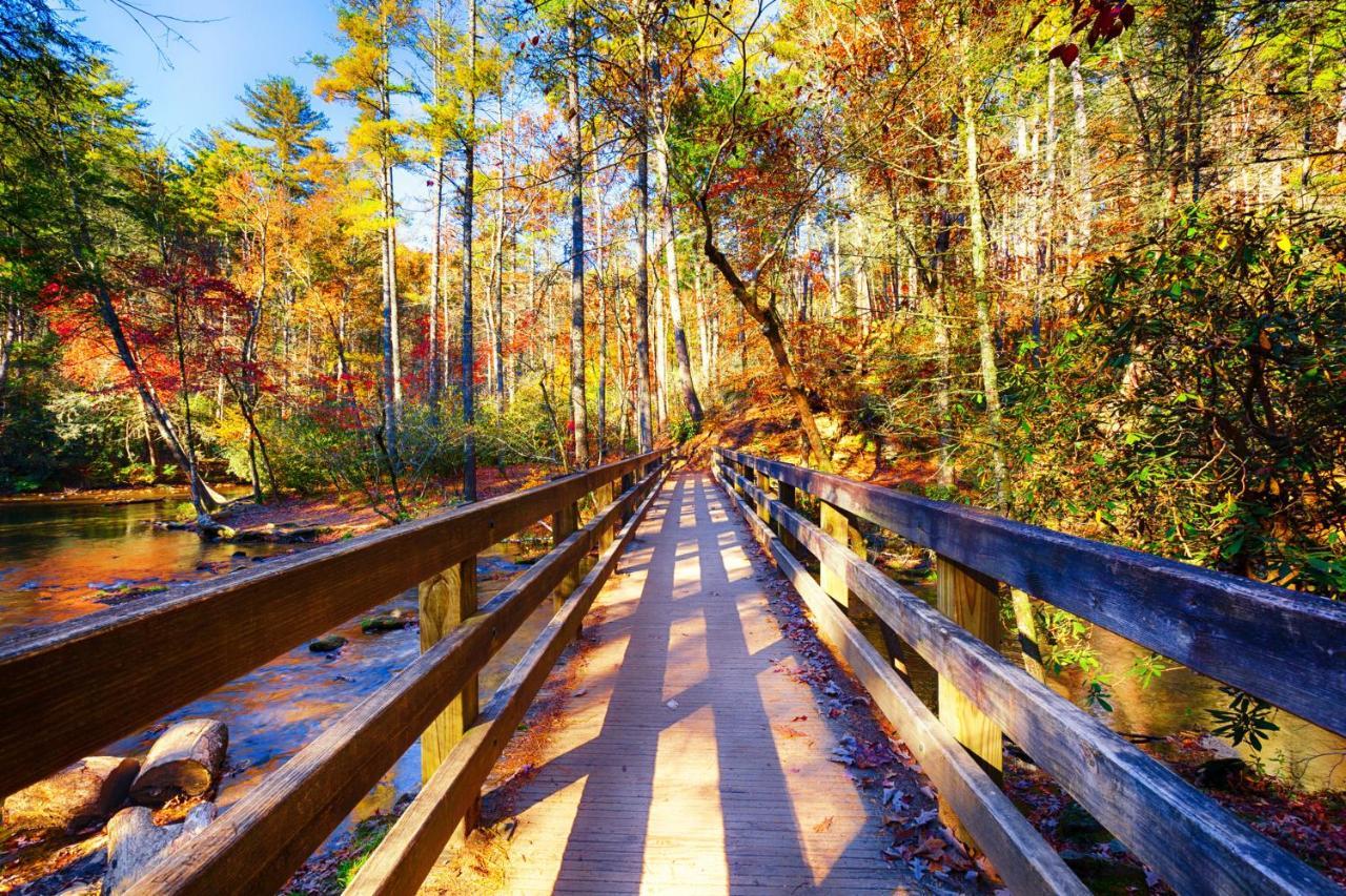 Bear Cove Falls Pigeon Forge Εξωτερικό φωτογραφία